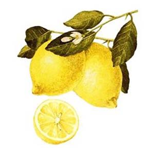 Lemon Lift Scent